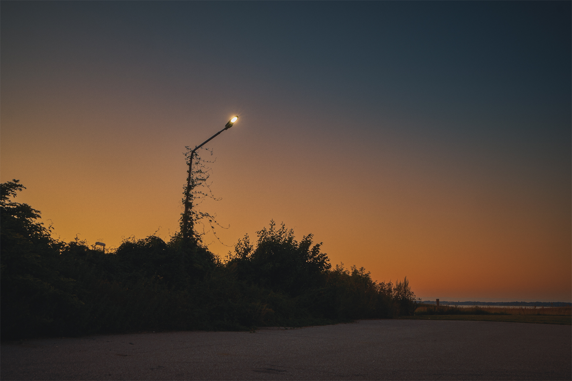 MICHAELHANISCH_DSF0602