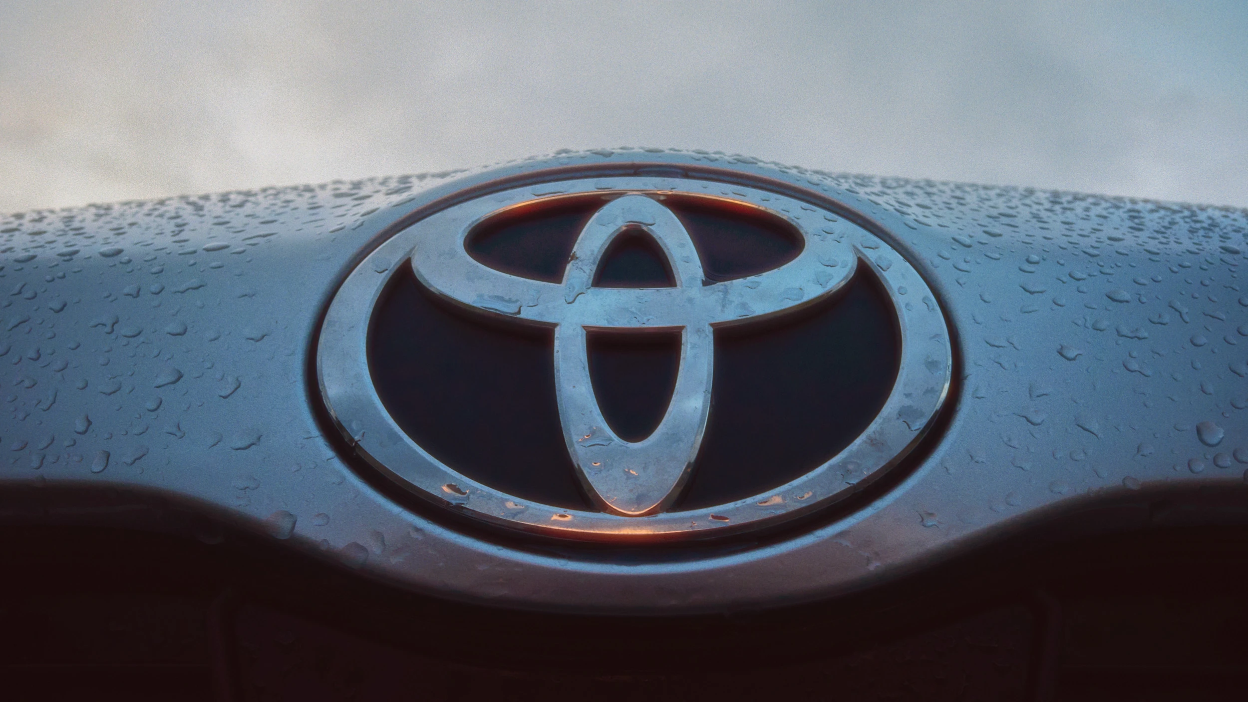 MICHAELHANISCH_5238_16x9