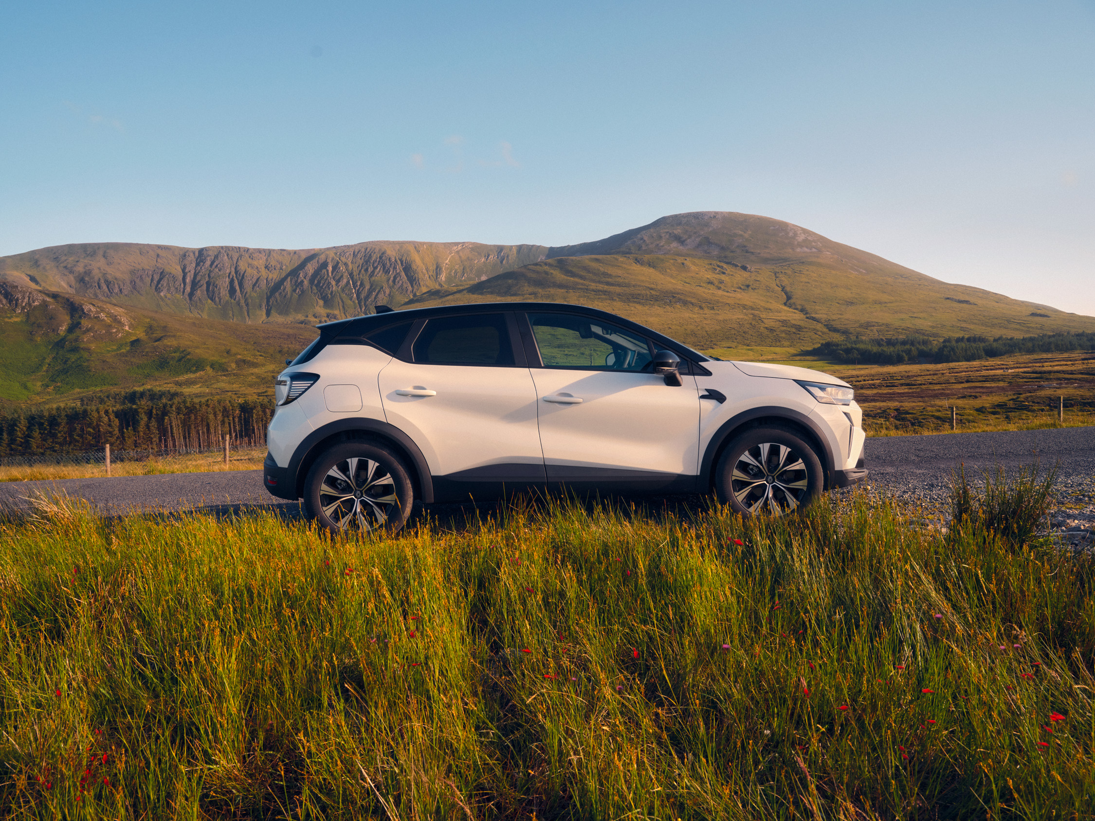 MICHAELHANISCH_MHA4434