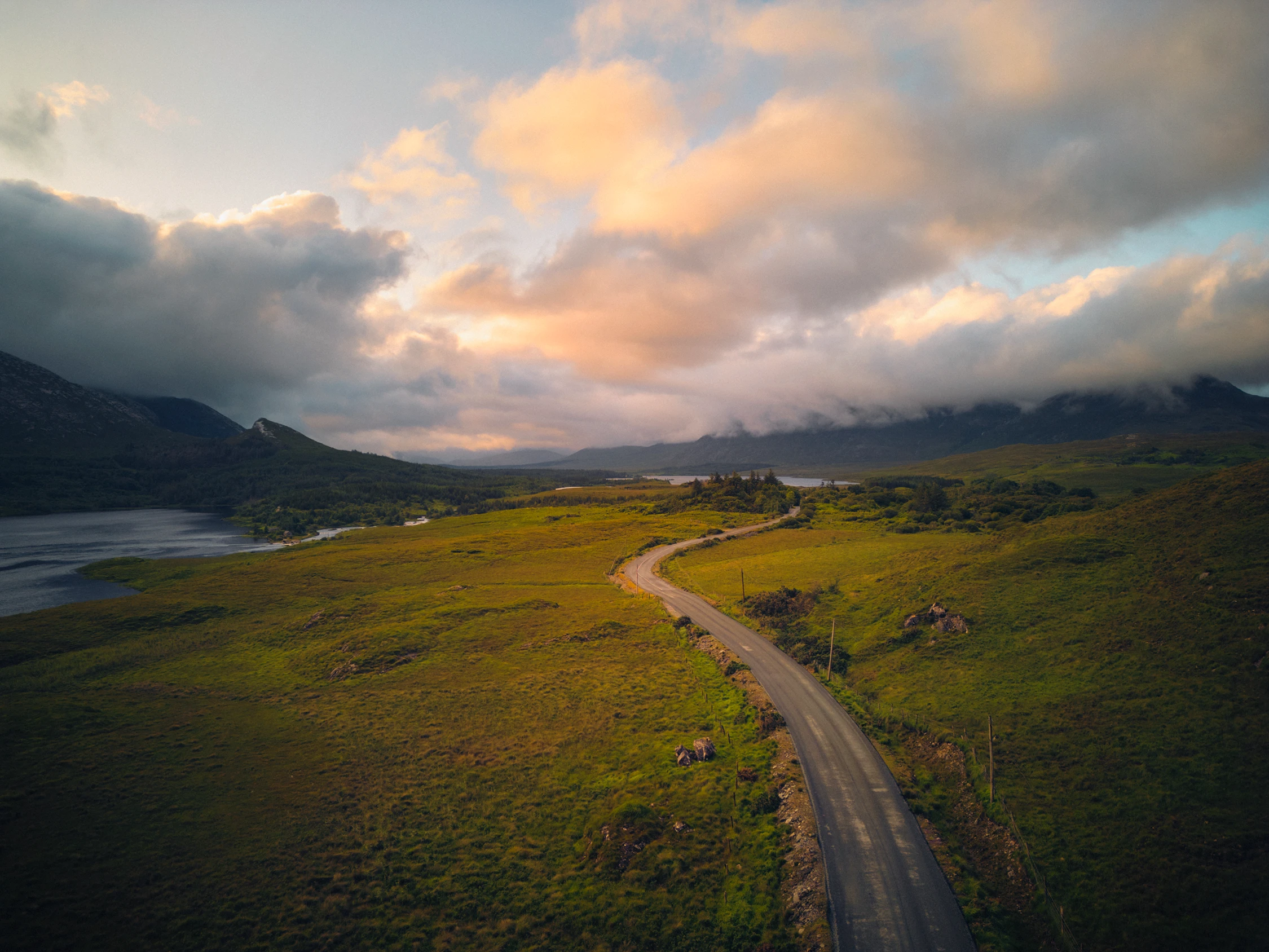 MICHAELHANISCH_0433_v2